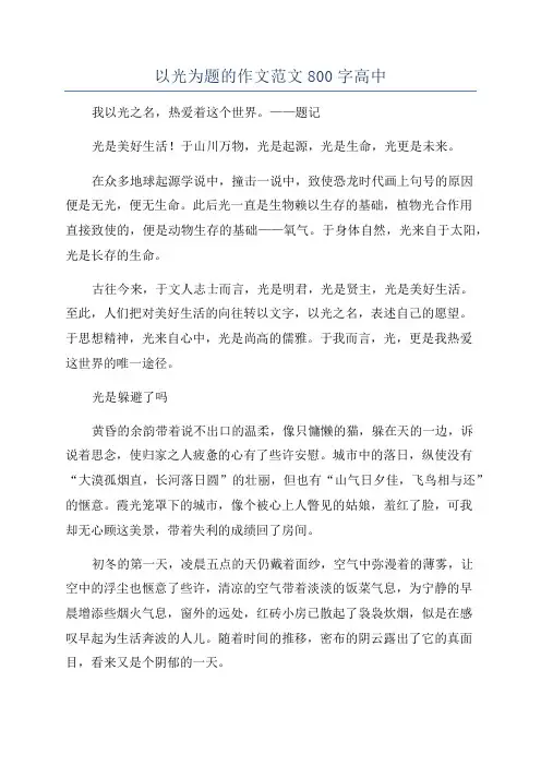 以光为题的作文范文800字高中