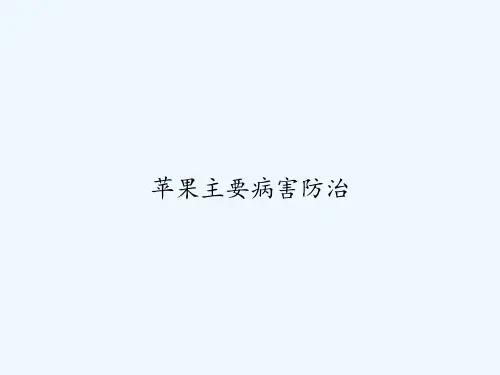 苹果主要病害防治 PPT