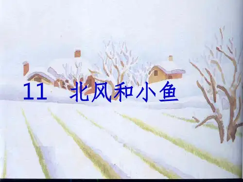 北风和小鱼公开课优秀课件