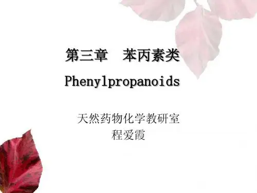 苯丙素 2010