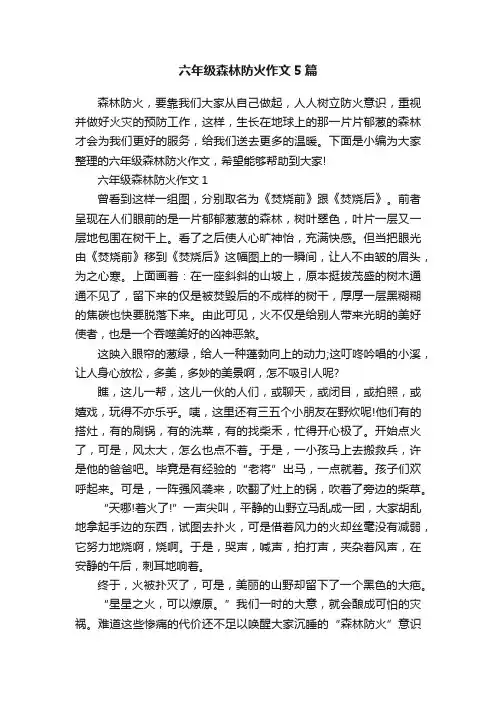 六年级森林防火作文5篇