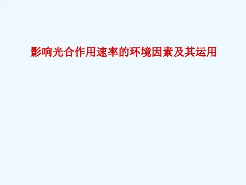 影响光合作用速率的环境因素