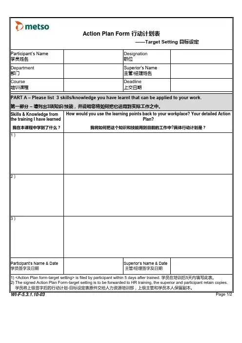 Action Plan Form行动计划表