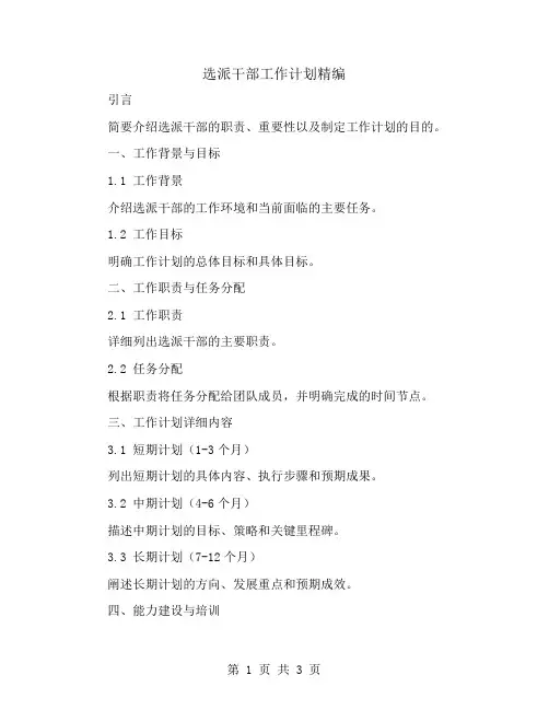 选派干部工作计划精编