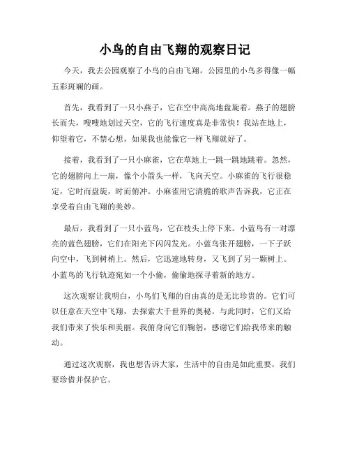 小学三年级作文小鸟的自由飞翔的观察日记