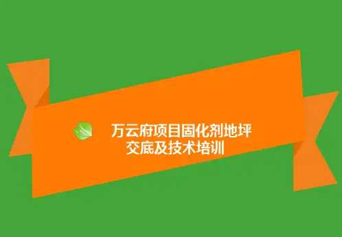 固化剂地坪(露骨料)