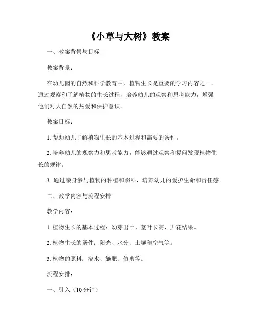 《小草与大树》教案