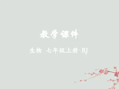 七年级生物上册第三单元生物圈中的绿色植物第二章被子植物的一生第一节种子的萌发教学课件