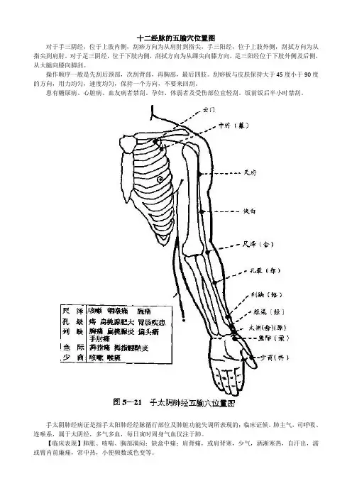 十二经脉的五腧穴位置图
