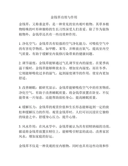 金钱草功效与作用