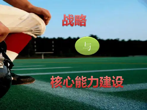 战略与核心能力建设