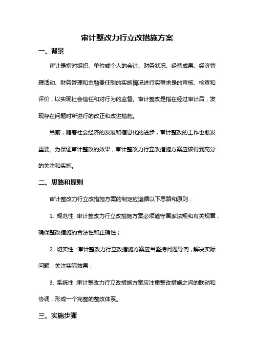 审计整改力行立改措施方案