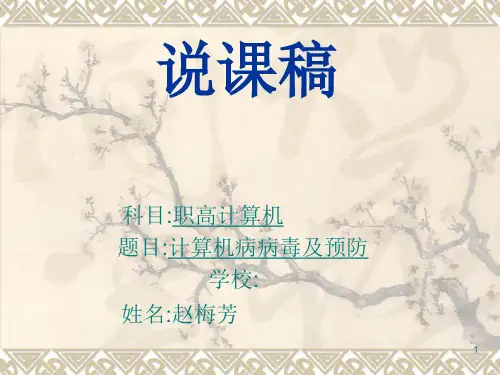 计算机病毒及预防PPT课件