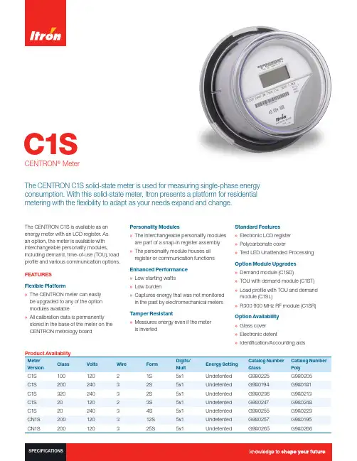 Itron CENTRON C1S 单相能耗计量器说明说明书