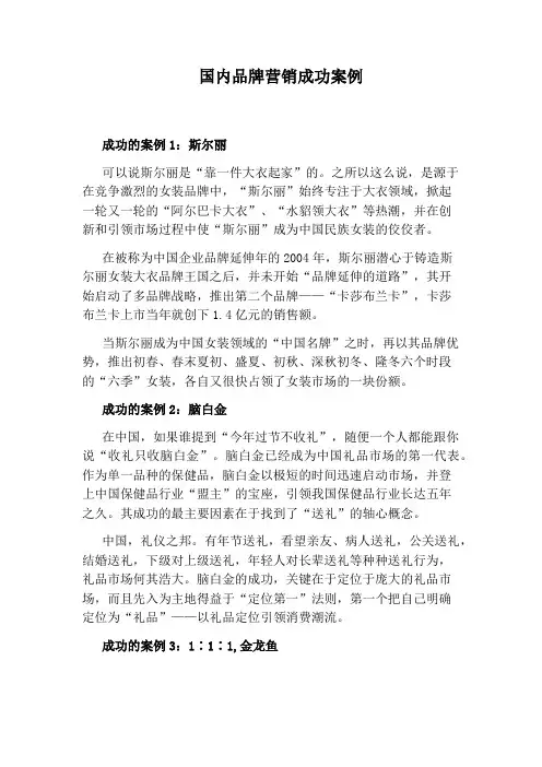 国内品牌营销成功案例