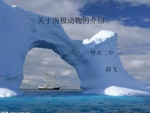 关于南极动物的介