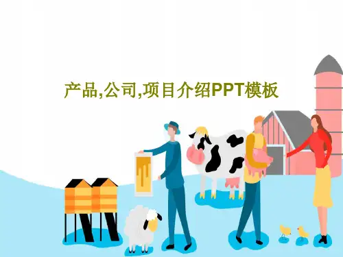产品,公司,项目介绍PPT模板共24页文档