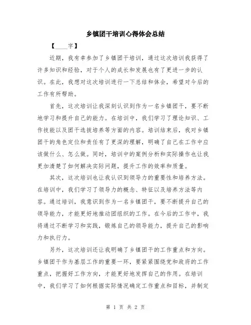 乡镇团干培训心得体会总结