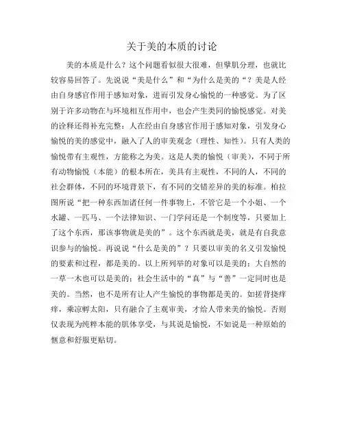 关于美的本质的讨论