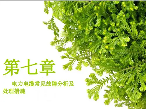 电缆常见故障分析ppt课件