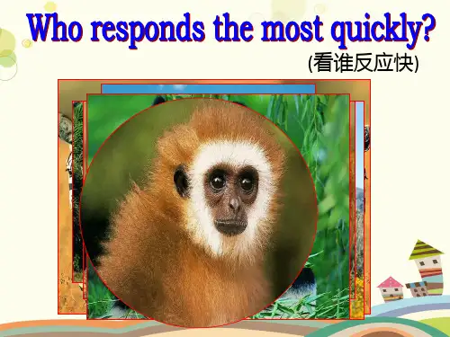 初中英语外研七年级上册AtriptothezooThetigerlivesinAsia课件