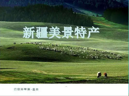 八年级地理下册第八章第三节新疆维吾尔自治区的地理概况和区域开发课件(新版)湘教版