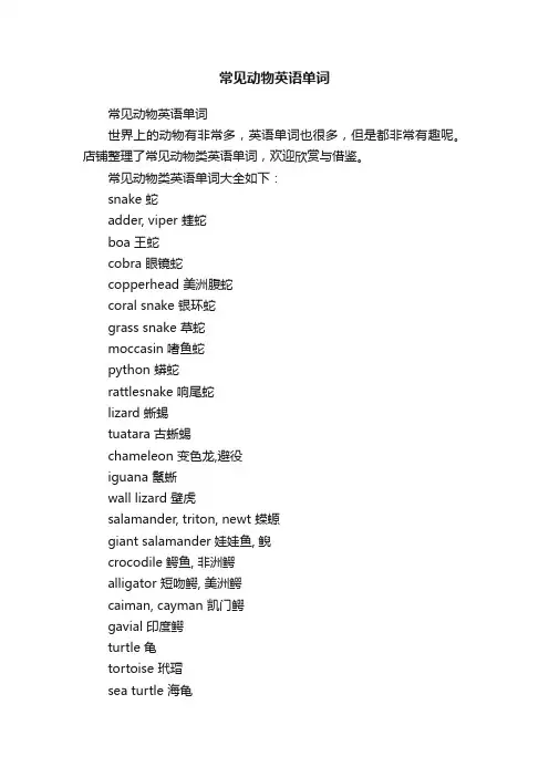 常见动物英语单词