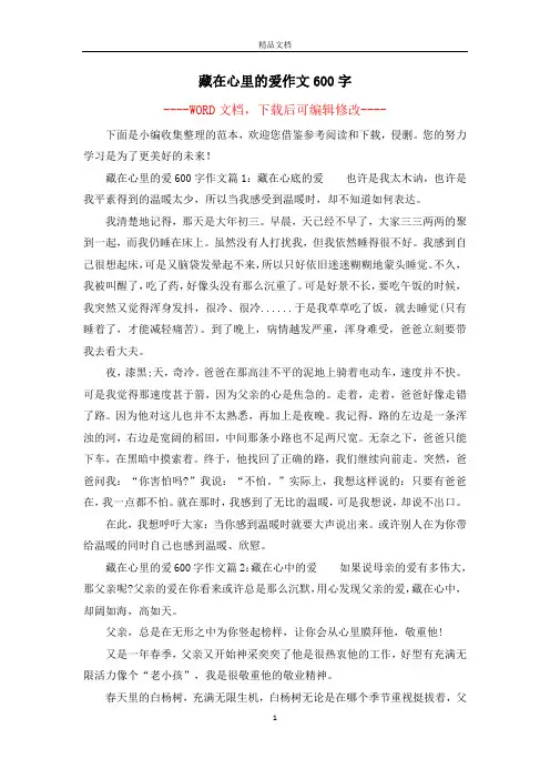 藏在心里的爱作文600字