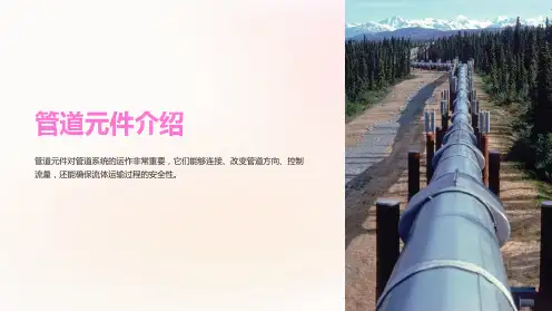 《管道元件介绍》课件