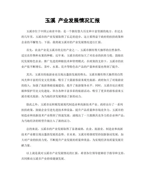 玉溪 产业发展情况汇报