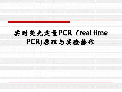 real time RT-PCR