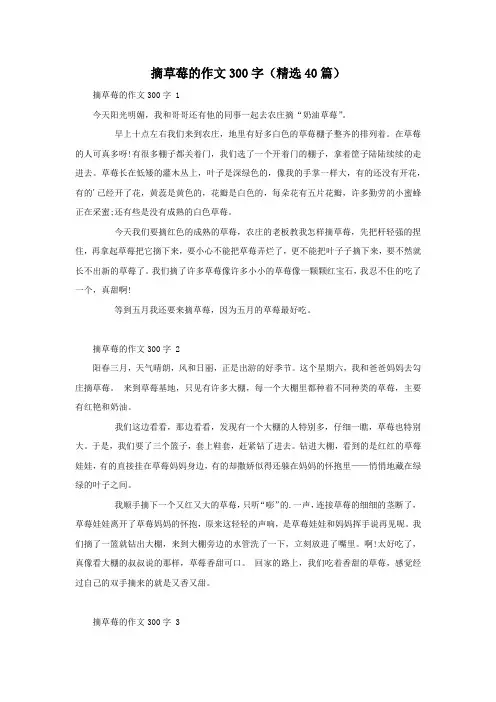 摘草莓的作文300字(精选40篇)