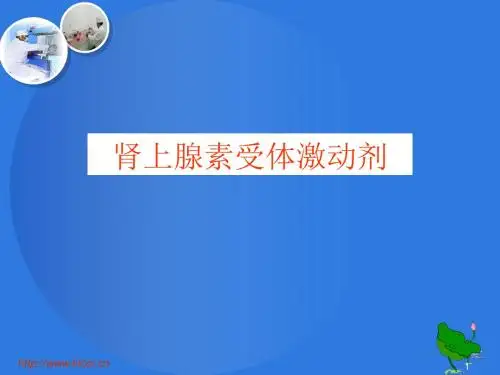 药物化学 拟肾上腺药