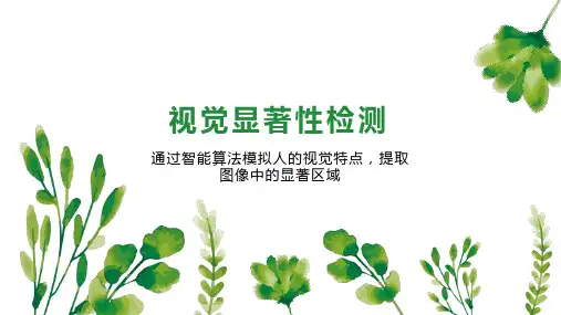 视觉显著性检测