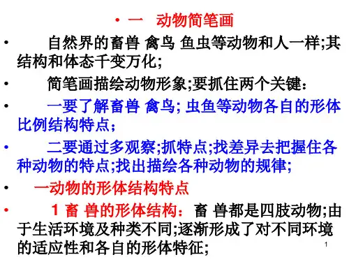 简笔画介绍大全