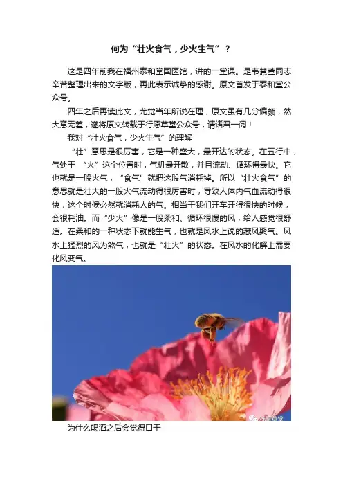 何为“壮火食气，少火生气”？