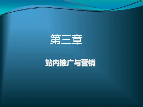 第三章——站内与站外推广营销