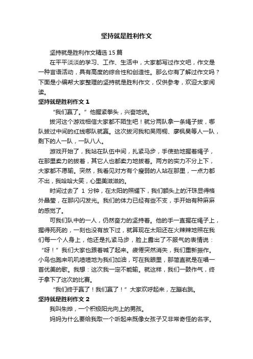 坚持就是胜利作文