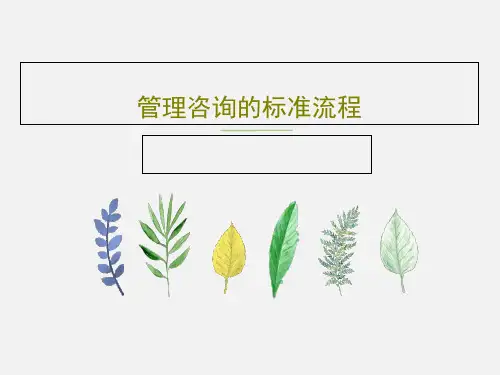 管理咨询的标准流程107页PPT