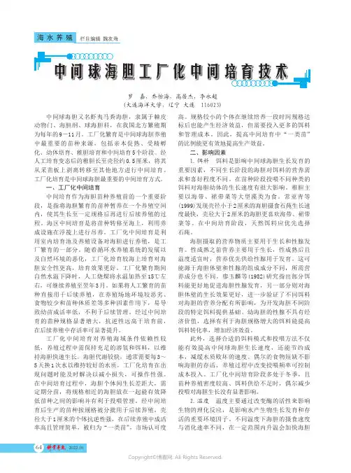中间球海胆工厂化中间培育技术