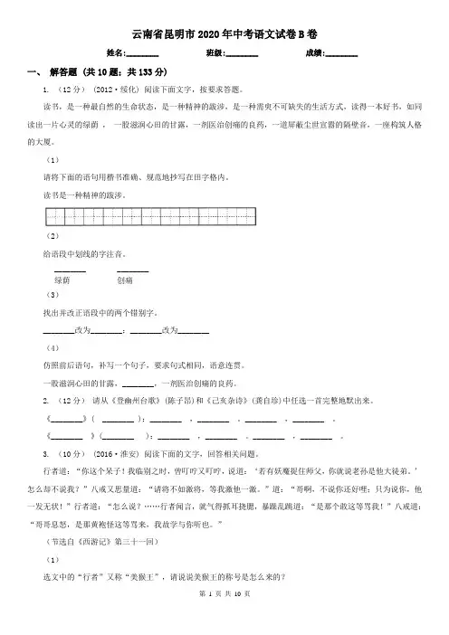 云南省昆明市2020年中考语文试卷B卷