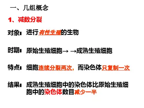 2014---减数分裂