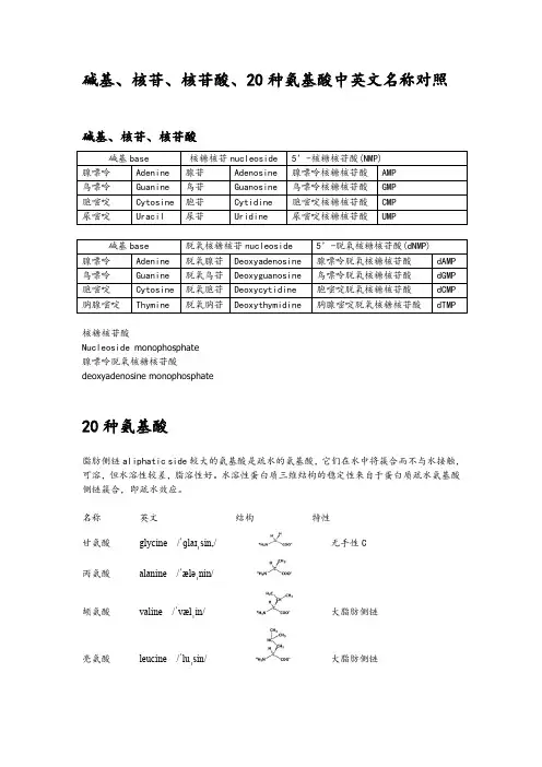 碱基核苷核苷酸20种氨基酸中英文名称对照