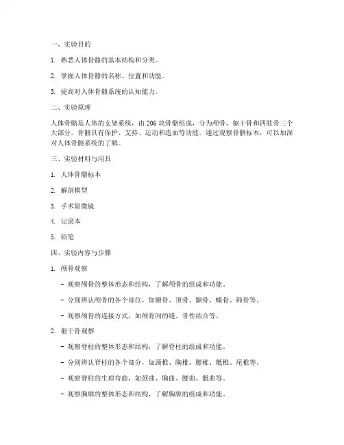 人体骨骼辨认实验报告