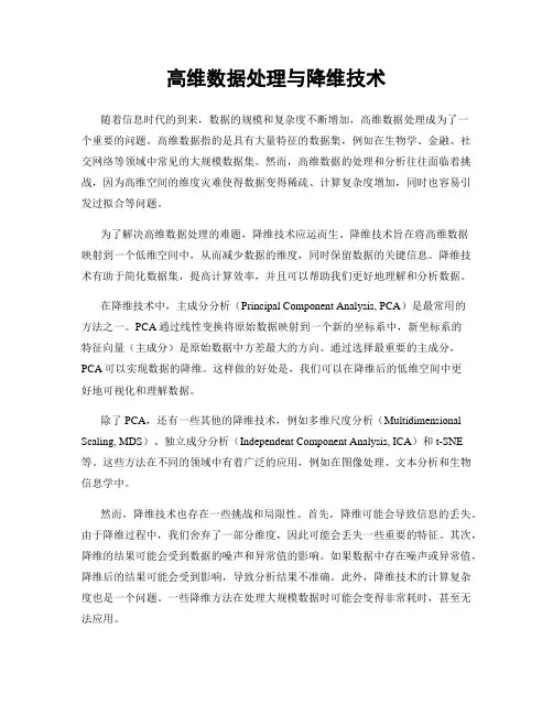 高维数据处理与降维技术