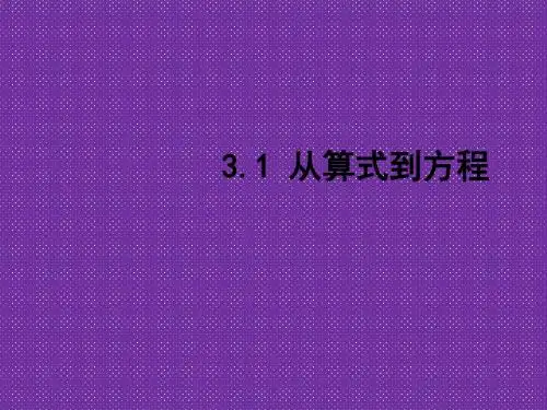 《从算式到方程》课件1(16页)(新人教七年级上)
