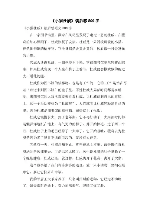 《小猫杜威》读后感800字