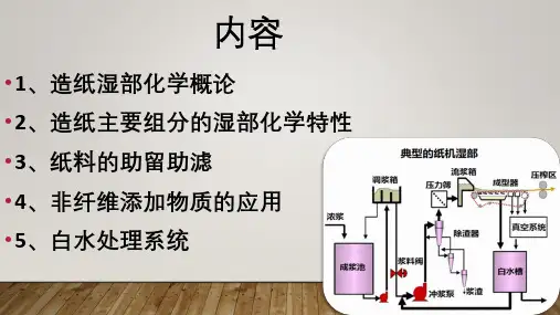 造纸湿部化学概论 8.4.ppt