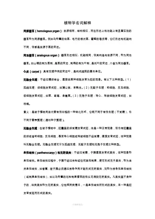 植物学名词解释