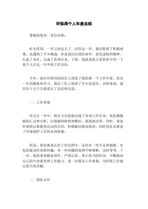 环保局个人年度总结